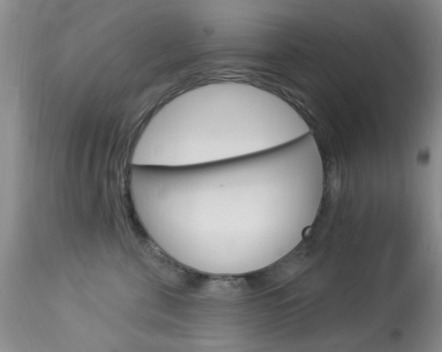 X0000114020571200910021019