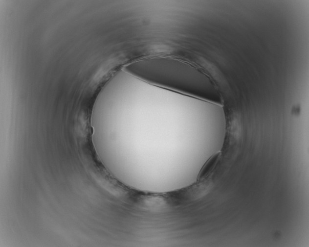 X0000114020572200910021019