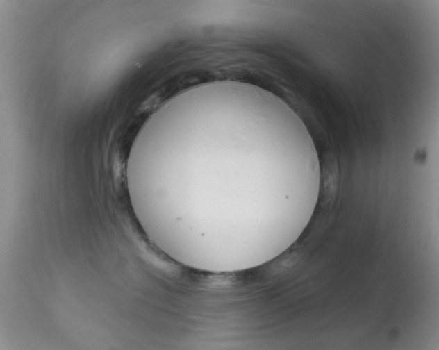 X0000114020574200910021019