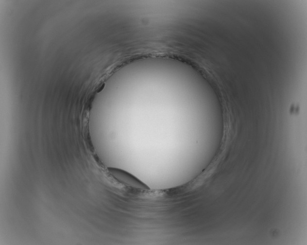 X0000114020576200910021019