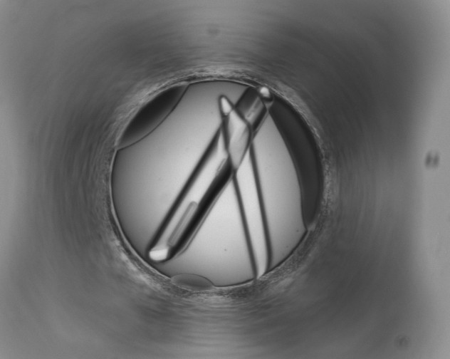 X0000114020577200910021018