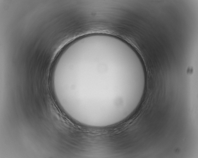 X0000114020579200910021018