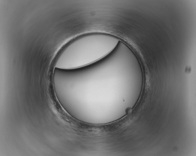 X0000114020580200910021018