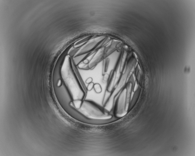 X0000114020581200910021018