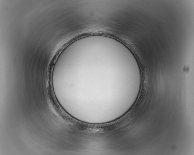 X0000114020582200910021018