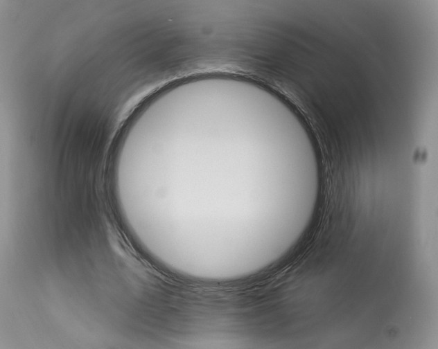 X0000114020583200910021018