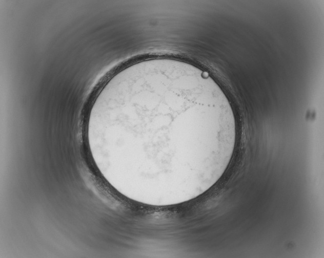 X0000114020584200910021018