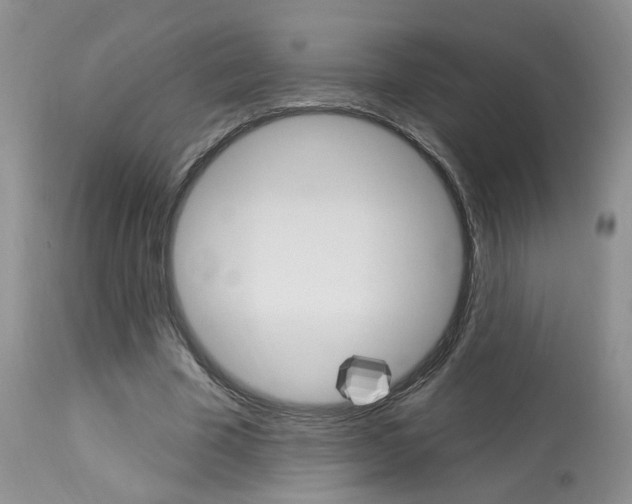 X0000114020585200910021018
