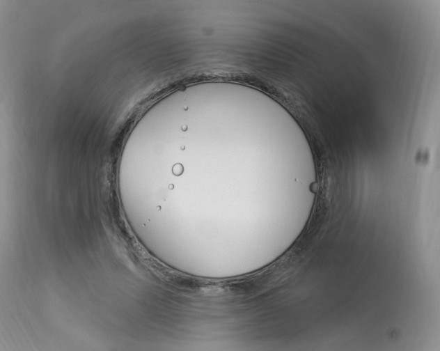 X0000114020591200910021018