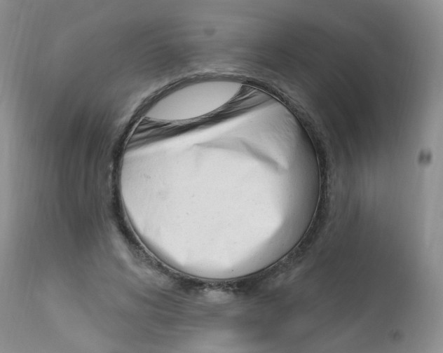 X0000114020592200910021018