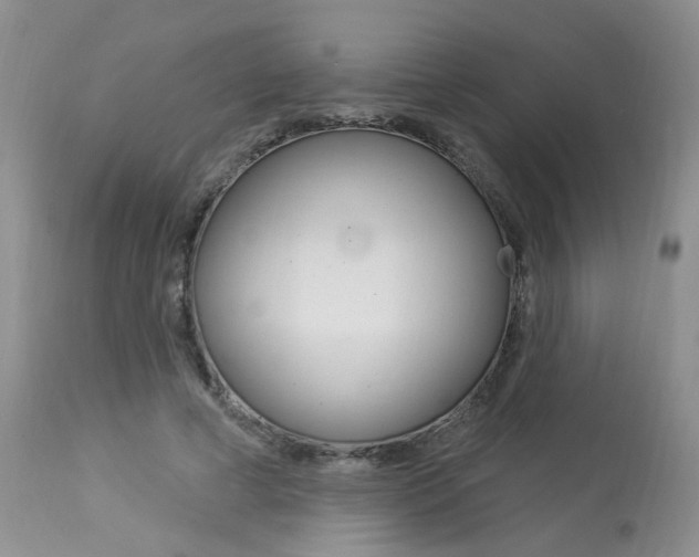 X0000114020593200910021018