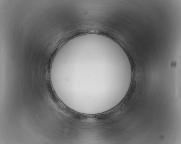 X0000114020594200910021018