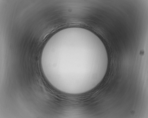 X0000114020595200910021018