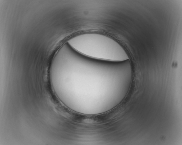 X0000114020596200910021018
