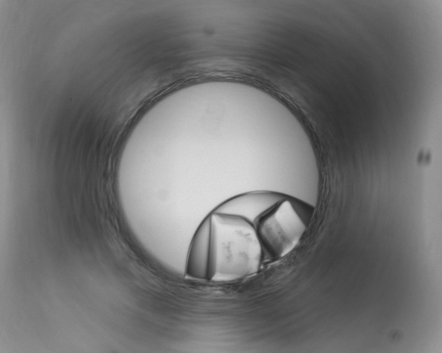 X0000114020597200910021018