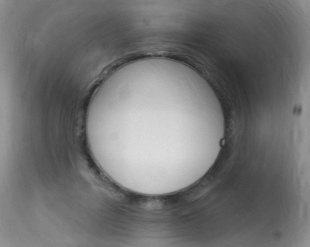 X0000114020600200910021018