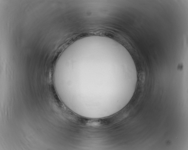 X0000114020602200910021018