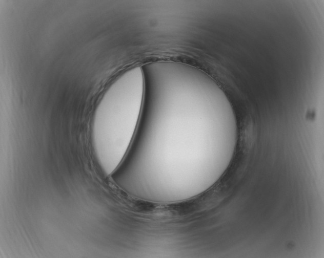 X0000114020608200910021018