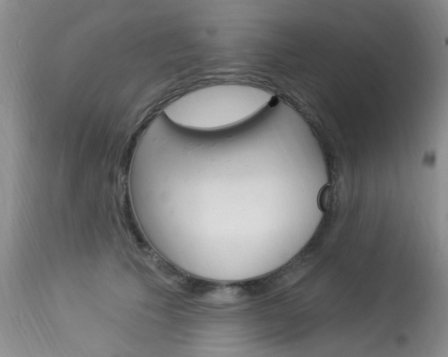 X0000114020609200910021018