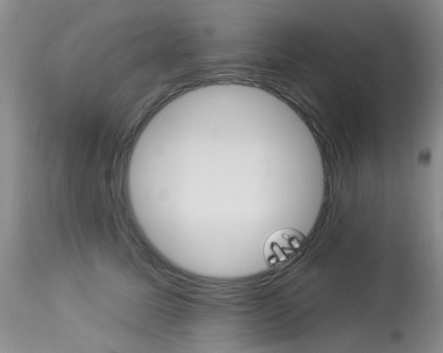 X0000114020611200910021018