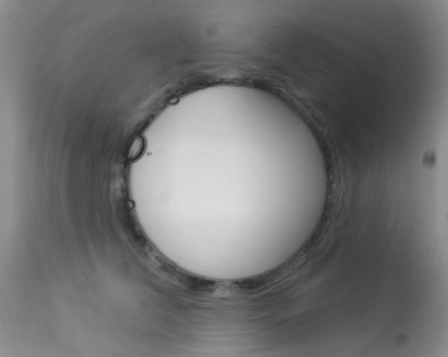 X0000114020612200910021018