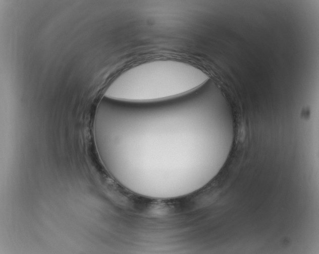 X0000114020616200910021018
