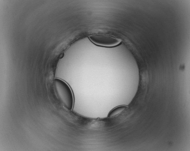 X0000114020617200910021018