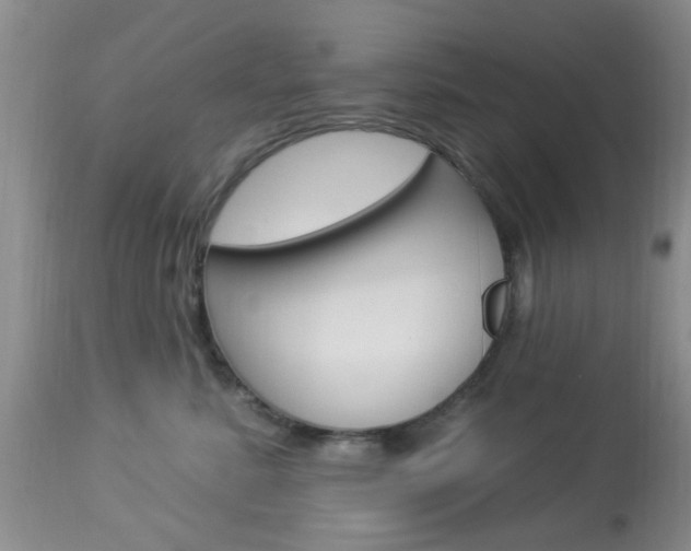 X0000114020619200910021018