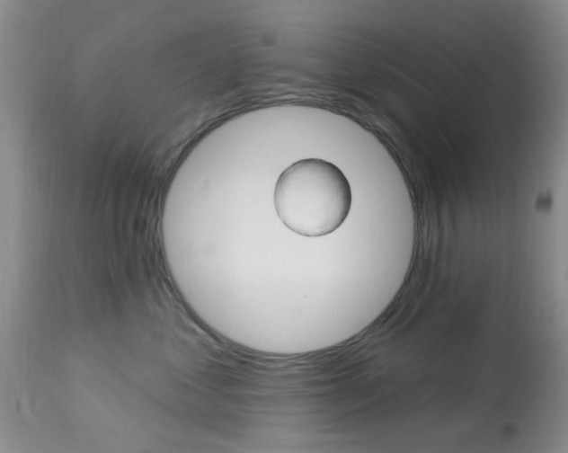 X0000114020621200910021018
