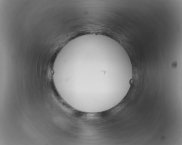 X0000114020622200910021018