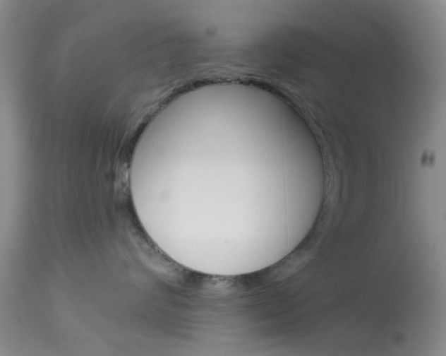 X0000114020624200910021018