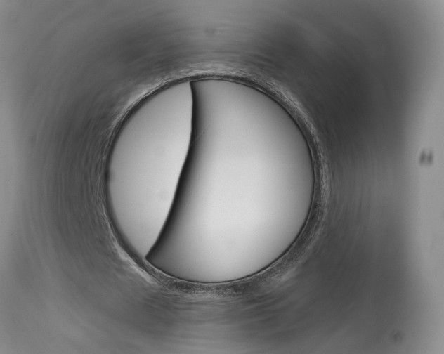 X0000114020625200910021017