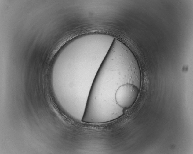 X0000114020626200910021017