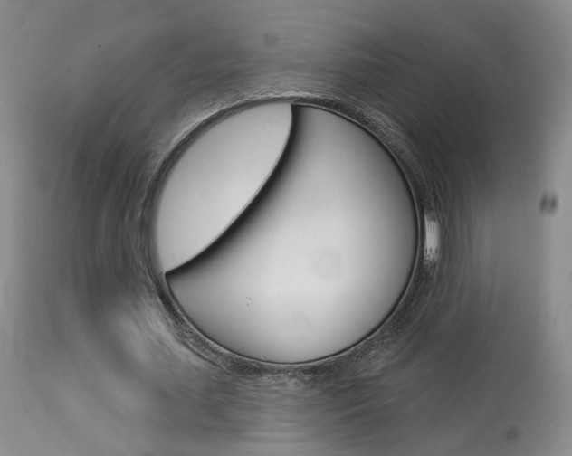 X0000114020627200910021017