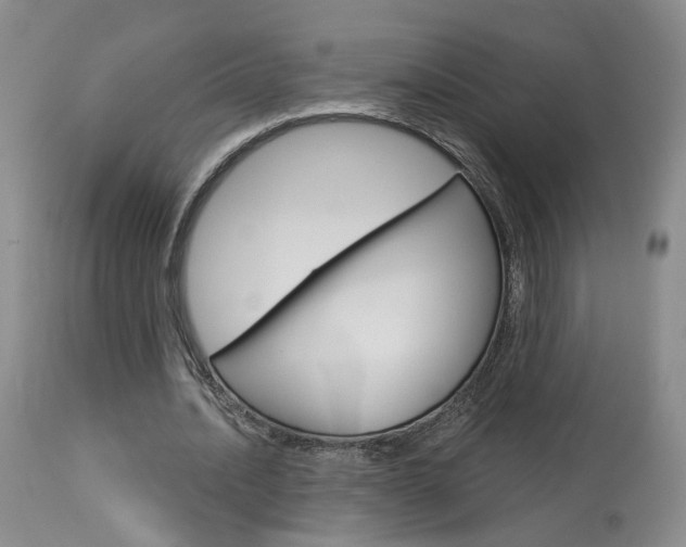 X0000114020628200910021017