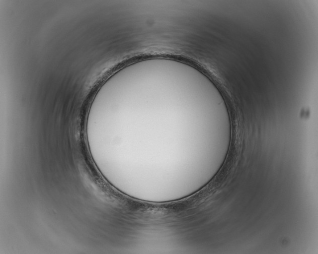 X0000114020631200910021017