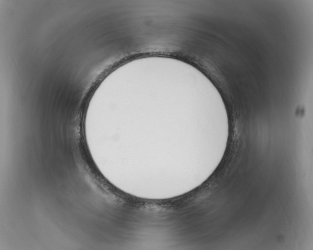 X0000114020632200910021017