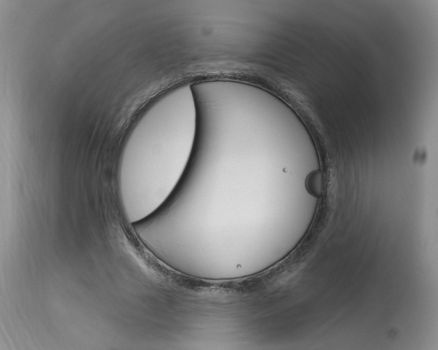 X0000114020633200910021017