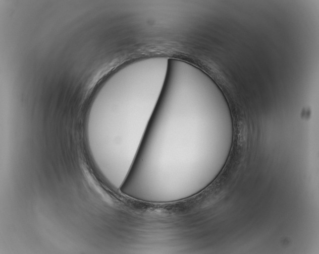 X0000114020634200910021017