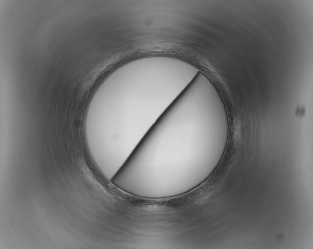 X0000114020637200910021017