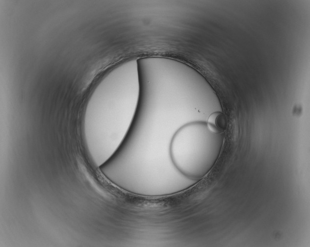 X0000114020638200910021017