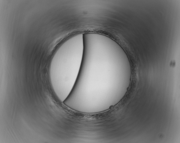 X0000114020640200910021017