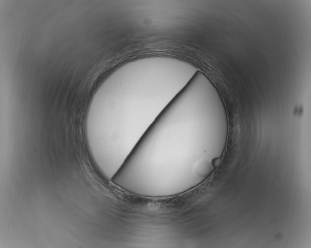 X0000114020641200910021017