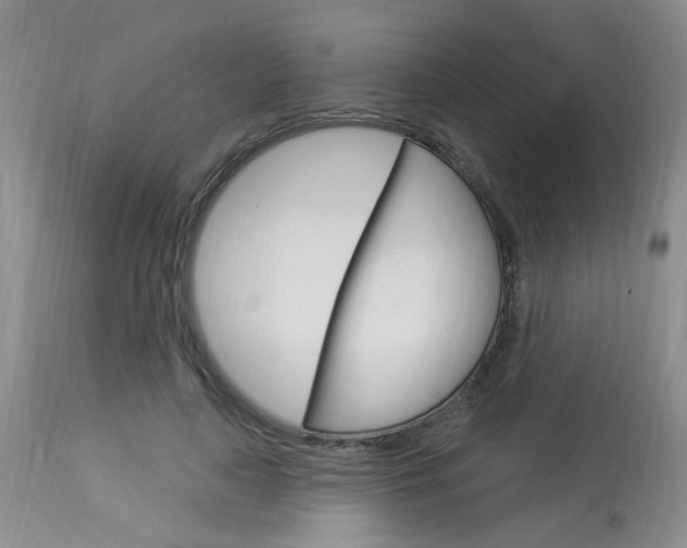X0000114020643200910021017
