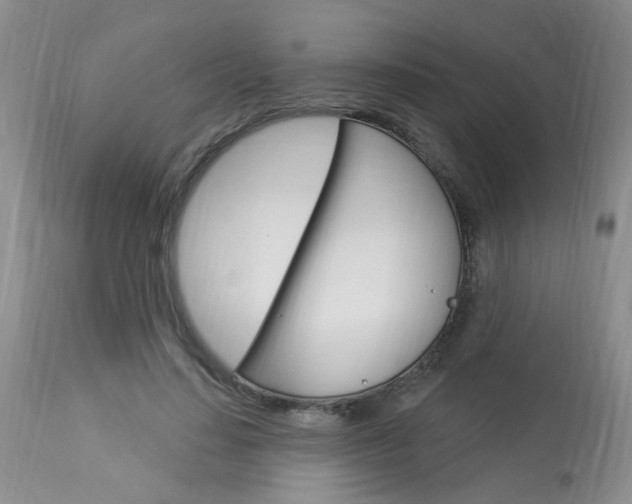 X0000114020644200910021017