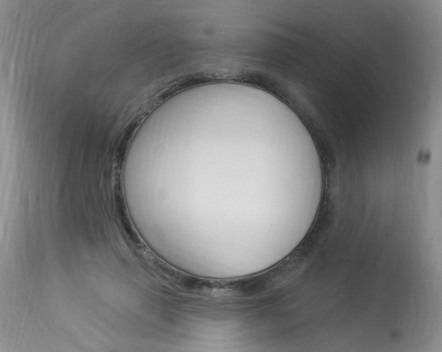 X0000114020645200910021017
