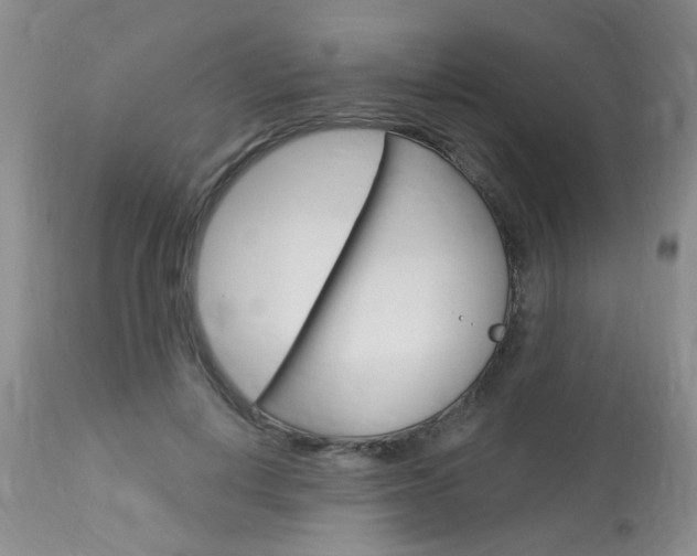 X0000114020648200910021017