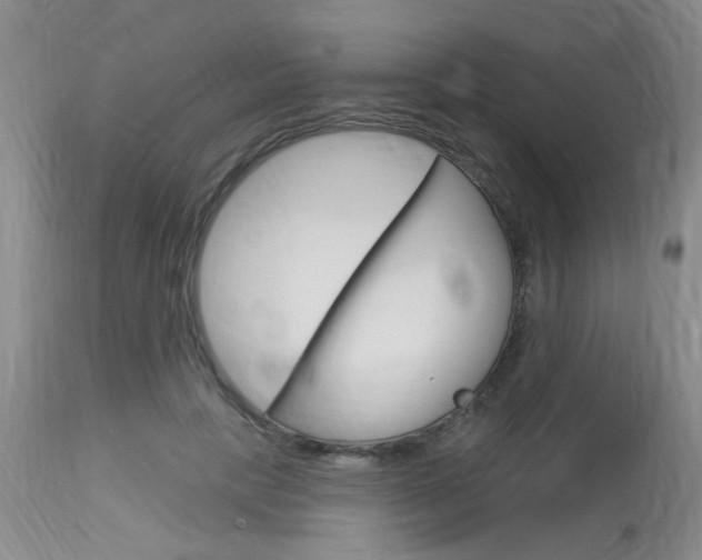 X0000114020649200910021017