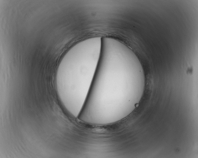X0000114020650200910021017