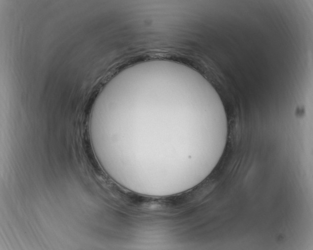 X0000114020655200910021017